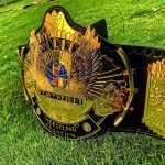 WWE WWF WCW Championship Belts