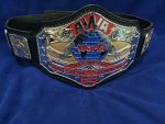 AWA WORLD TAG TEAM 24K GOLD Championship Belt - Image 2
