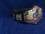AWA WORLD TAG TEAM 24K GOLD Championship Belt - Image 3