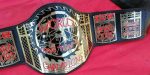 ECW WORLD TAG TEAM Brass Championship Belt - Image 4