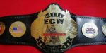 ECW WORLD TELEVISION REPLICA Championship Belt - Image 2