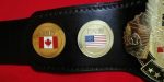 ECW WORLD TELEVISION REPLICA Championship Belt - Image 3