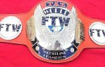 FTW TAZ Championship Belt - Image 2