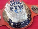 FTW TAZ Championship Belt - Image 3