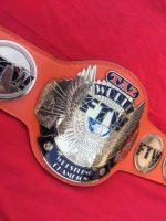 FTW TAZ Championship Belt - Image 4