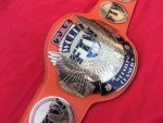 FTW TAZ Championship Belt - Image 6