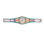 Miami Dolphins Championship Belt - Image 5