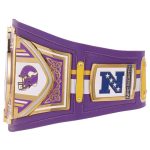 Minnesota Vikings Championship Belt - Image 3