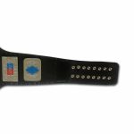 MISSOURI HEAVYWEIGHT Championship Belt - Image 2