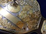 NWA BIG GOLD 24K GOLD Zinc Championship Belt - Image 5
