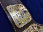 NWA BIG GOLD 24K GOLD Zinc Championship Belt - Image 11