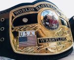 NWA DOMED GLOBE HEAVYWEIGHT 24K GOLD Championship Belt - Image 2