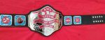 NWA TELEVISION HEAVYWEIGHT 24K NICKEL Wrestling Belt - Image 2