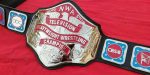 NWA TELEVISION HEAVYWEIGHT 24K NICKEL Wrestling Belt - Image 4