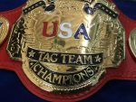 NWA UNITED STATES TAG TEAM 24K GOLD Zinc Championship Belt - Image 2