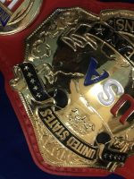 NWA UNITED STATES TAG TEAM 24K GOLD Zinc Championship Belt - Image 5