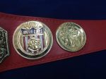 NWA UNITED STATES TAG TEAM 24K GOLD Zinc Championship Belt - Image 6