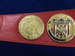 NWA UNITED STATES TAG TEAM 24K GOLD Zinc Championship Belt - Image 8