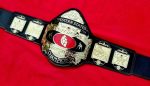 NWA WESTERN STATES HEAVYWEIGHT 24K GOLD Zinc Championship Belt - Image 2