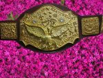 NWA World Tag Team Title Belt �?Zinc Die-Cast