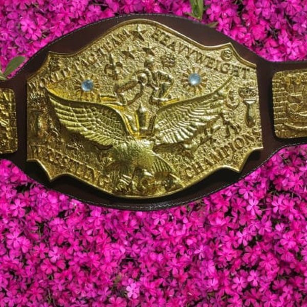 NWA World Tag Team Title Belt �?Zinc Die-Cast