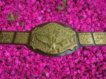 NWA World Tag Team Title Belt �?Zinc Die-Cast - Image 2