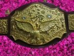 NWA World Tag Team Title Belt �?Zinc Die-Cast - Image 5