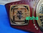 NXT NORTH AMERICA Zinc Championship Belt - Image 3