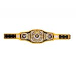 Pittsburgh Pirates MLB Championship Belt - Image 4