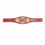 San Francisco 49ers Championship Belt - Image 5