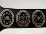 SOUTHERN HEAVYWEIGHT Brass Championship Belt - Image 2