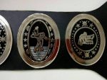 SOUTHERN HEAVYWEIGHT Brass Championship Belt - Image 3