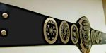SOUTHERN HEAVYWEIGHT Brass Championship Belt - Image 5