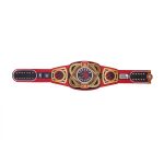 Toronto Raptors NBA Championship Belt - Image 4