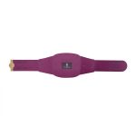 Toronto Raptors NBA Championship Belt - Image 7