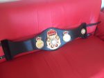 WBA SUPER WORLD Boxing Title Belt - Image 6