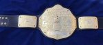 WWE BIG GOLD DUAL PLATED 24K GOLD Championship Belt - Image 3