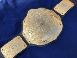 WWE BIG GOLD DUAL PLATED 24K GOLD Championship Belt - Image 5