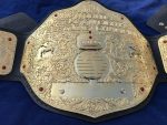 WWE BIG GOLD DUAL PLATED 24K GOLD Championship Belt - Image 6