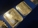 WWF BIG EAGLE ATTITUDE ERA 24K GOLD Championship Title Belt - Image 9