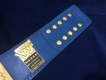 WWF BIG EAGLE ATTITUDE ERA 24K GOLD Championship Title Belt - Image 11