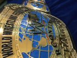 WWF INTERCONTINENTAL OVAL 24K GOLD Championship Belt - Image 4