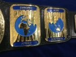 WWF INTERCONTINENTAL OVAL 24K GOLD Championship Belt - Image 10