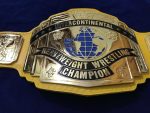 WWF INTERCONTINENTAL YELLOW 24K GOLD Zinc Championship Title Belt - Image 8