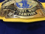 WWF INTERCONTINENTAL YELLOW 24K GOLD Zinc Championship Title Belt - Image 12