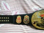 WWF STONE COLD SMOKING SKULL 24K GOLD Championship Title Belt - Image 2