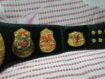 WWF STONE COLD SMOKING SKULL 24K GOLD Championship Title Belt - Image 4