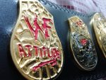 WWF STONE COLD SMOKING SKULL 24K GOLD Championship Title Belt - Image 6