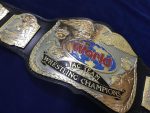 WWF WORLD TAG TEAM DUAL PLATED 24K GOLD Zinc Championship Belt - Image 5